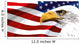 The national symbol of the United States of America 