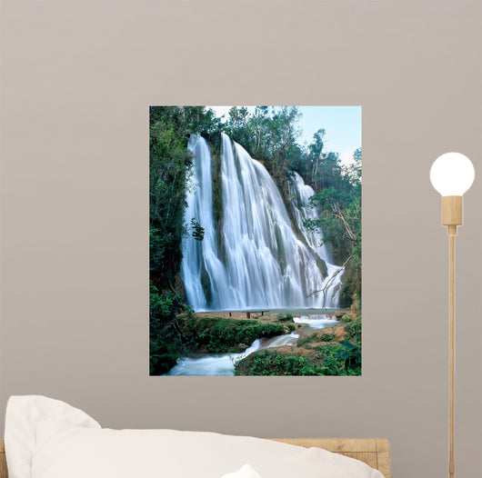 Jungle waterfall Dominicana Wall Mural