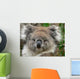 Koala Wall Mural