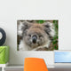 Koala Wall Mural