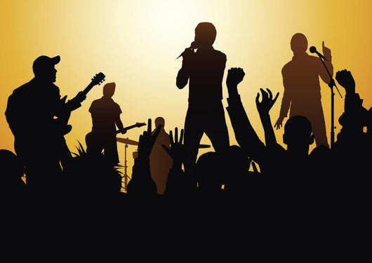 rock concert Wall Mural