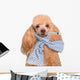 Sick Dog. Wall Decal