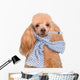 Sick Dog. Wall Decal