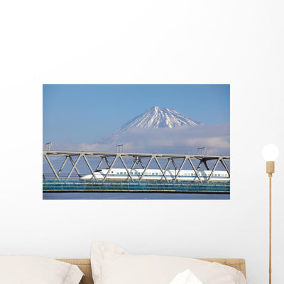 Mt Fuji and Tokaido shown on a wall