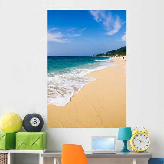 Turtle Beach Wall Mural