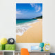 Turtle Beach Wall Mural