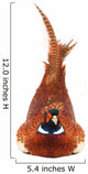 Pheasant 