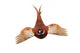 Pheasant 