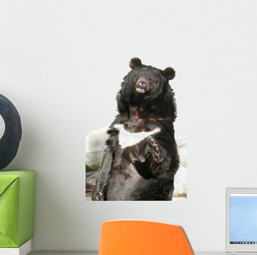 Waving Bear Wall Mural