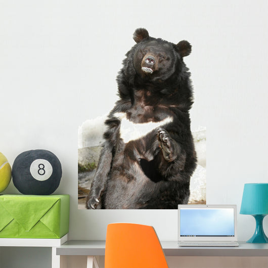 Waving Bear Wall Mural