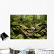 Thick Forest Wall Decal