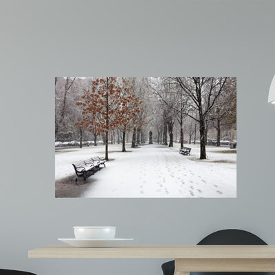 Snowfall Boston shown on a wall