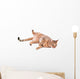 Brown Cat Breed Bengal (leopard Cat - Prionailurus Bengalensis) Wall Decal