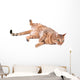 Brown Cat Breed Bengal (leopard Cat - Prionailurus Bengalensis) Wall Decal