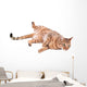 Brown Cat Breed Bengal (leopard Cat - Prionailurus Bengalensis) Wall Decal