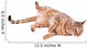 Brown Cat Breed Bengal (leopard Cat - Prionailurus Bengalensis) Wall Decal