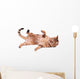 Brown Cat Breed Bengal (leopard Cat - Prionailurus Bengalensis) Wall Decal