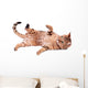 Brown Cat Breed Bengal (leopard Cat - Prionailurus Bengalensis) Wall Decal
