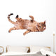 Brown Cat Breed Bengal (leopard Cat - Prionailurus Bengalensis) Wall Decal