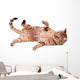 Brown Cat Breed Bengal (leopard Cat - Prionailurus Bengalensis) Wall Decal