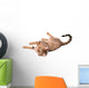 Brown Cat Breed Bengal (leopard Cat - Prionailurus Bengalensis) Wall Decal