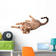 Brown Cat Breed Bengal (leopard Cat - Prionailurus Bengalensis) Wall Decal