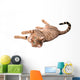 Brown Cat Breed Bengal (leopard Cat - Prionailurus Bengalensis) Wall Decal