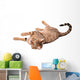 Brown Cat Breed Bengal (leopard Cat - Prionailurus Bengalensis) Wall Decal