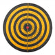 Old dart board 