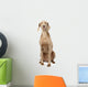 Weimaraner Dog Wall Decal