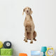 Weimaraner Dog Wall Decal