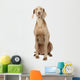 Weimaraner Dog Wall Decal