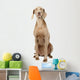 Weimaraner Dog Wall Decal