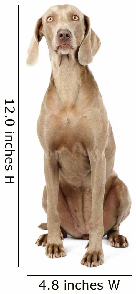 Weimaraner Dog Wall Decal