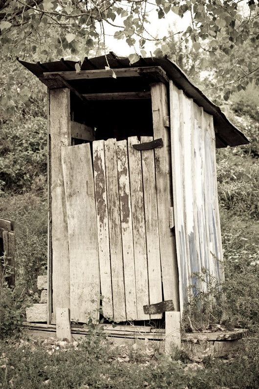 tradtional wooden outside toilet Wall Mural