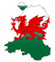 Wales and the Dragon Wall Decal