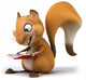 Squirrel 