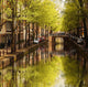 Amsterdam city with green canal in Holland Wall Mural
