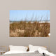 Beach Grass Wall Mural
