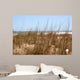 Beach Grass Wall Mural