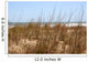 Beach Grass Wall Mural