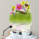 Reflected Spring Meadow Wall Mural
