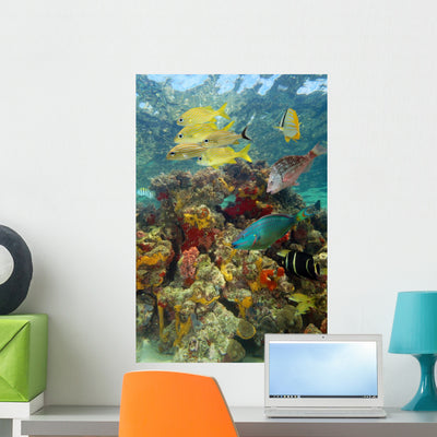 Underwater Scenery with Colorful shown on a wall
