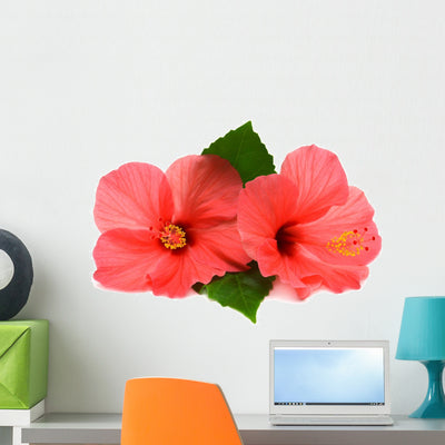 Two Pink Hibiscus Wall Decal shown on a wall
