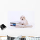 Labrador Puppy with Books Wall Decal
