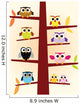 Owls colors 