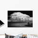 Black And White Of Wind Generators With Cloud In Background Wall Mural