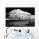 Black And White Of Wind Generators With Cloud In Background Wall Mural