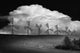 Black And White Of Wind Generators With Cloud In Background Wall Mural