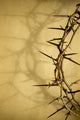 Crown Of Thorns Represents Jesus Crucifixion on Good Friday 